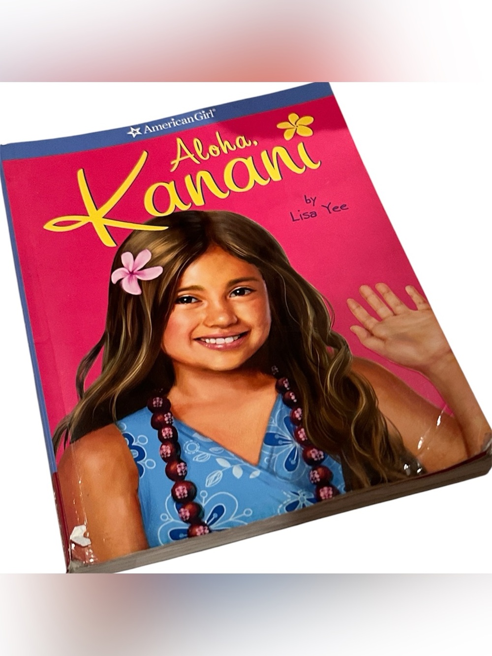 American Girl Doll + Other Doll Accessories - Picture 7 of 8